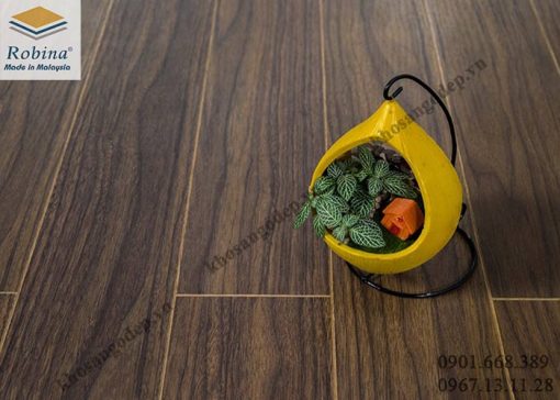 Sàn gỗ Robina 12mm W15-BN