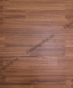 Sàn gỗ Robina 12mm T22