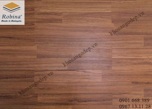 Sàn gỗ Robina 12mm T22