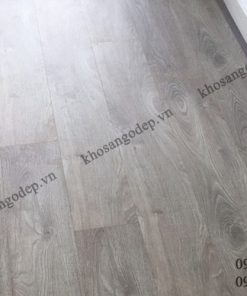 Sàn gỗ Robina tại Hà Nội